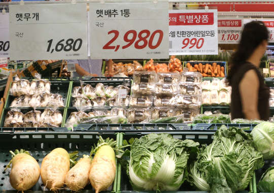 16일 오후 롯데마트 서울역점의 채소 코너에 가격이 급등한 배추와 무가 평소보다 비싼 가격에 판매되고 있다. 최근 기록적 가뭄으로 배추와 무 생산이 줄고 고랭지 배추들도 파종이 늦어지면서 배추와 무를 비롯한 채소가격이 급등해 '밥상물가'가 오를 전망이다.